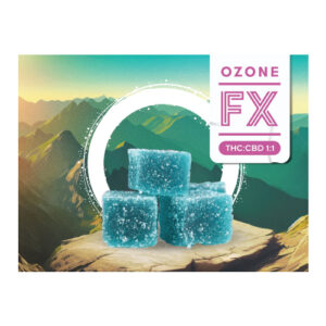 1:1 CBD:THC Restoring Blue Raspberry Gummies